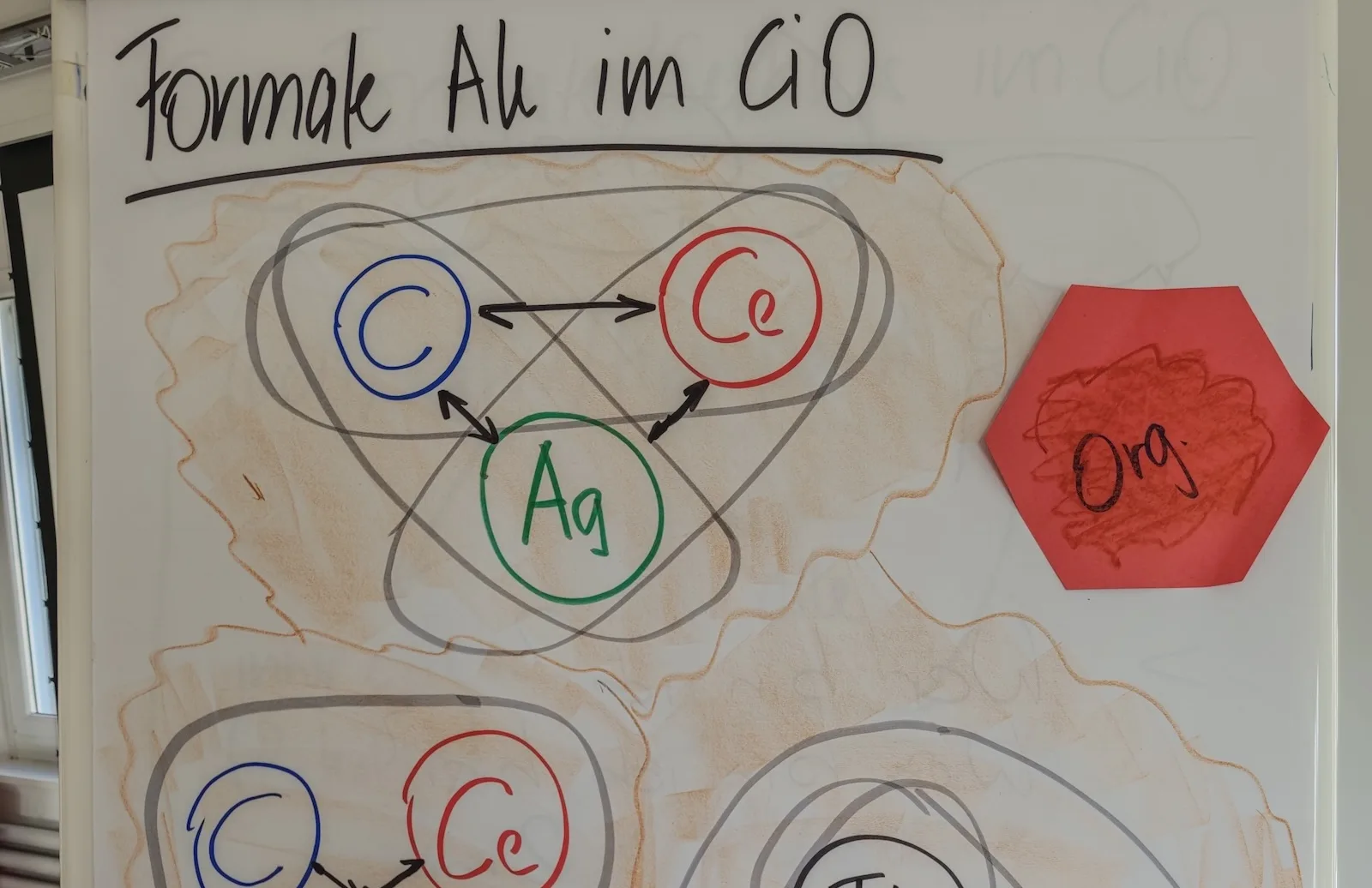 Coaching-in-Organisationen