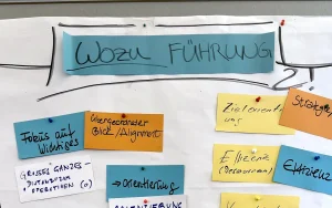 Wozu Führung